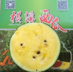 娱乐吃瓜图片图文素材大全,吃瓜图鉴，带你领略明星幕后故事  第3张