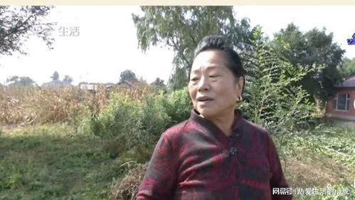 龙华李大爷最新爆料事件,揭开事件背后惊人真相  第3张