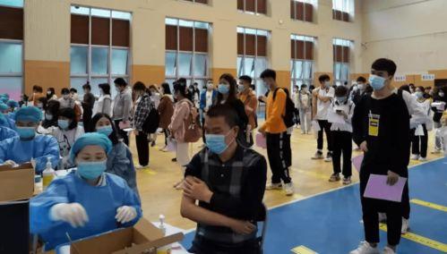 毒刺6最新爆料消息,性能升级,战力再攀高峰 第2张 毒刺6最新爆料消息,性能升级,战力再攀高峰 第2张